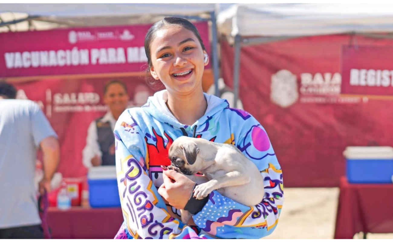 Destacan acciones a favor de las mascotas con programas gratuitos de salud