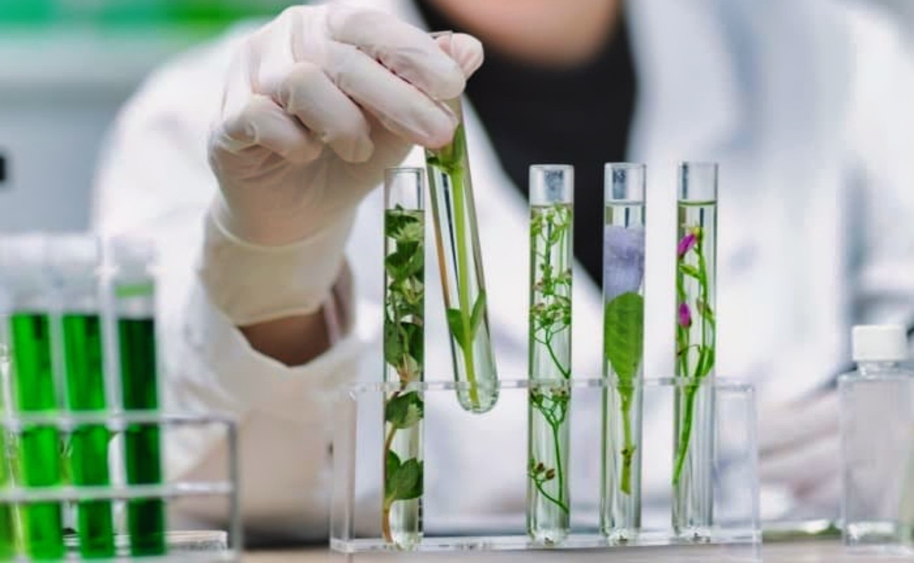 Biotecnología, clave para el desarrollo tecnológico y económico del país: CIGAMX