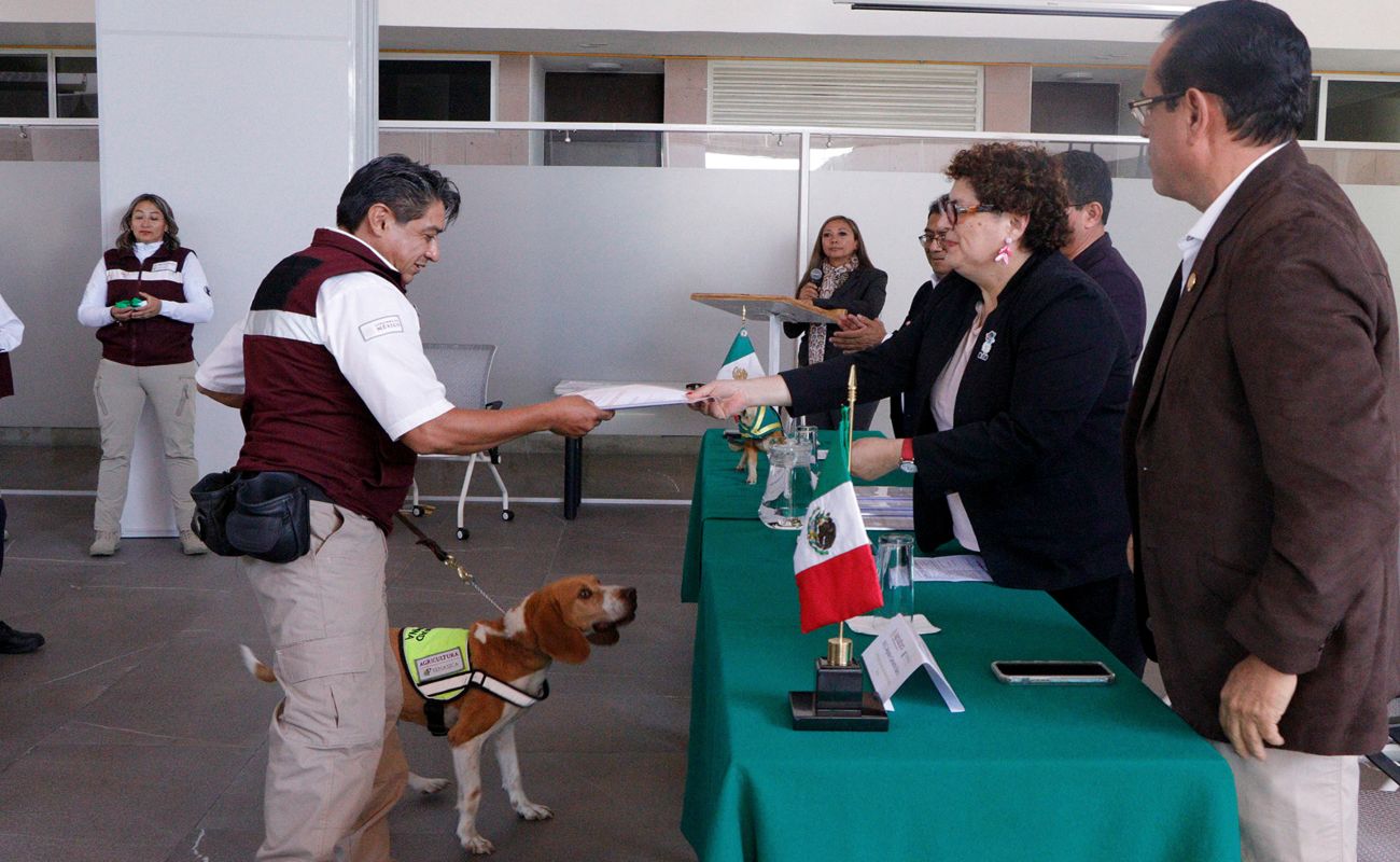 Inicia AGRICULTURA capacitación de la Generación 82 de Binomios Caninos para proteger el patrimonio agroalimentario