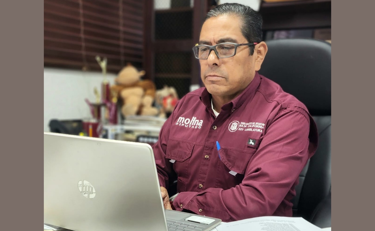 Dictaminan iniciativas para proteger datos personales, fortalecer la atención al cáncer infantil y prevenir el nepotismo en el servicio público.