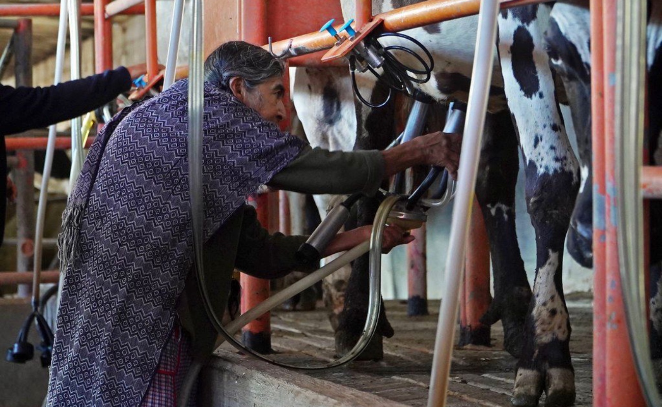 Con este fortalecimiento de su capacidad de acopio y procesamiento, atenderá a 27% más beneficiarios al 2030.