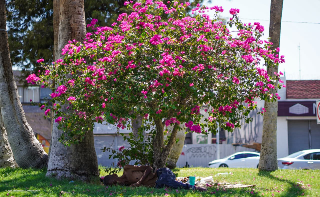 Protección Civil alerta por uno de los días más calurosos del verano en Mexicali; sensación térmica superará los 47 grados