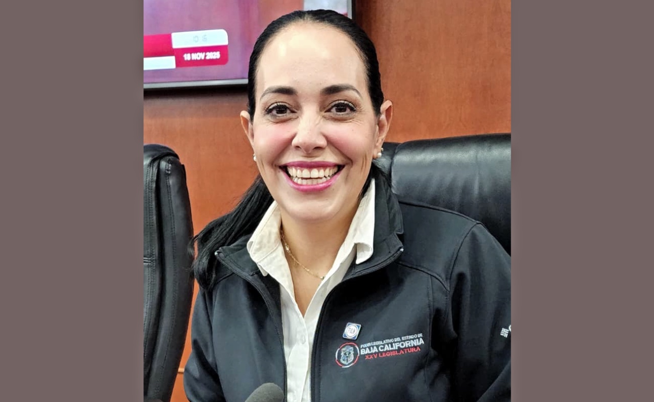 Estado y Municipios en coordinación con instituciones educativas, sector privado y social, establecerán programas que los vinculen laboralmente.