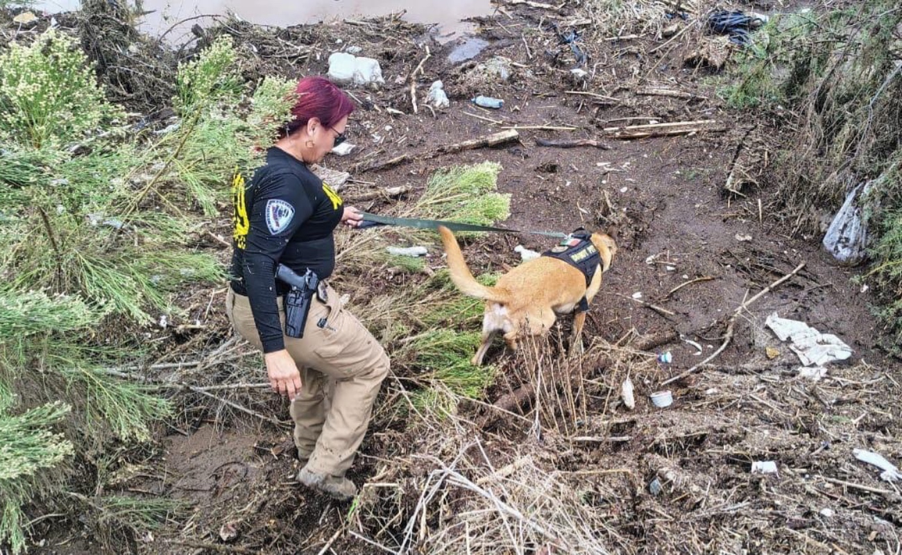 Identifican a cuatro de las víctimas que ha dejado Rachel en Ensenada