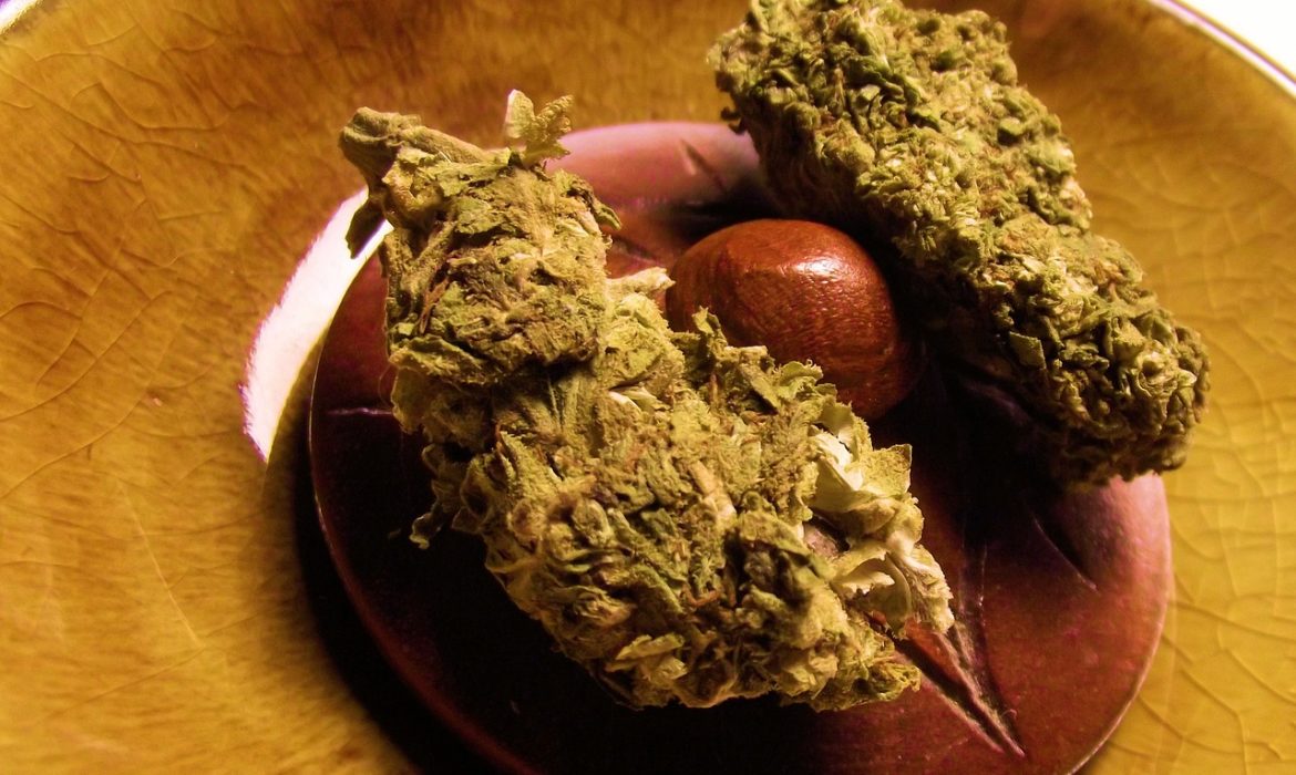 Puerto Rico apela a la marihuana para combatir la crisis