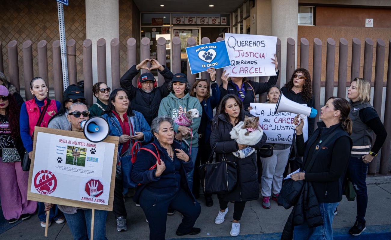 Existen alrededor de dos mil carpetas relacionadas con casos de maltrato animal en etapa de investigación, solo cinco han sido judicializadas.