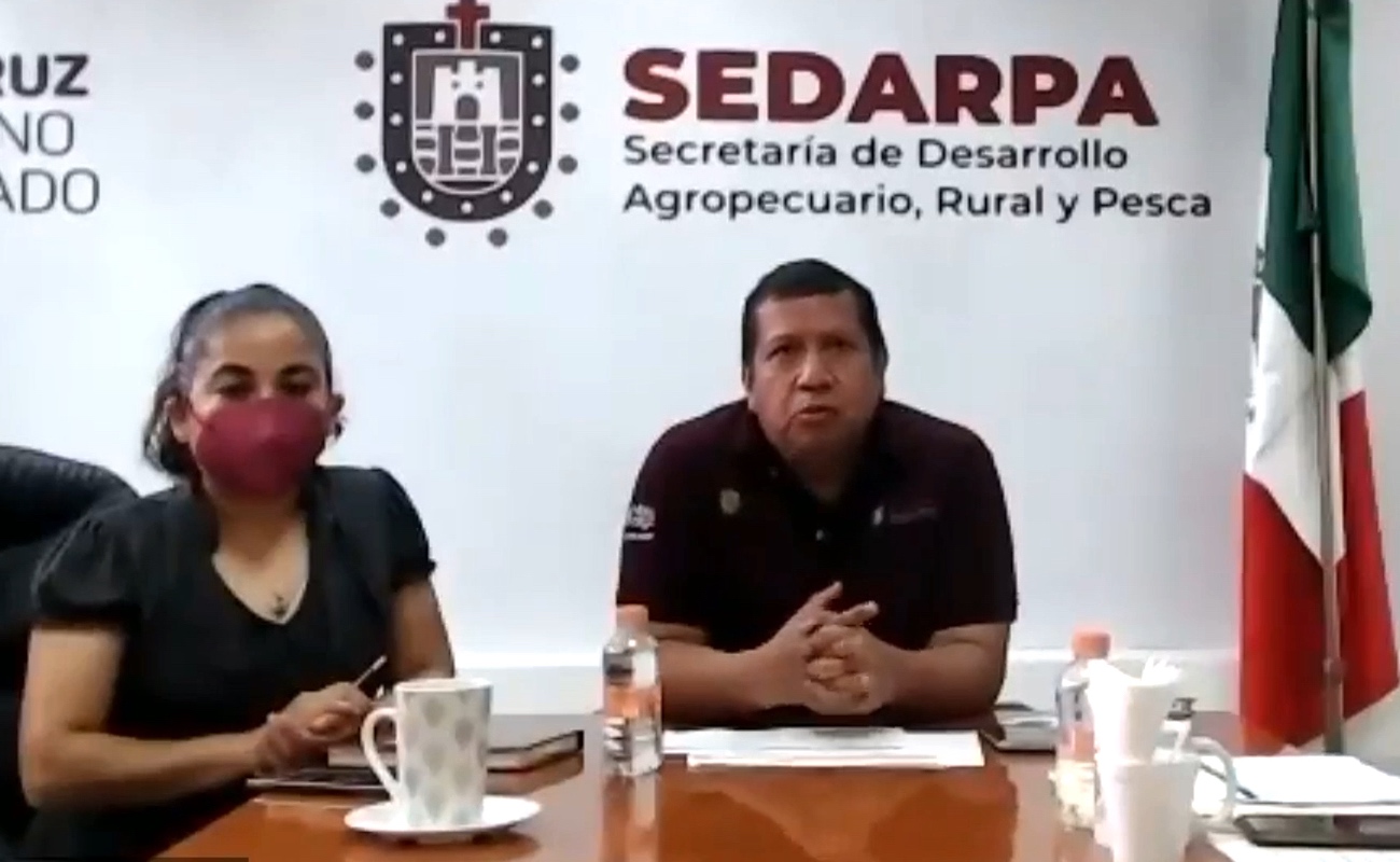 Inician seminario con el desarrollo temático: “Cadenas productivas estratégicas”.