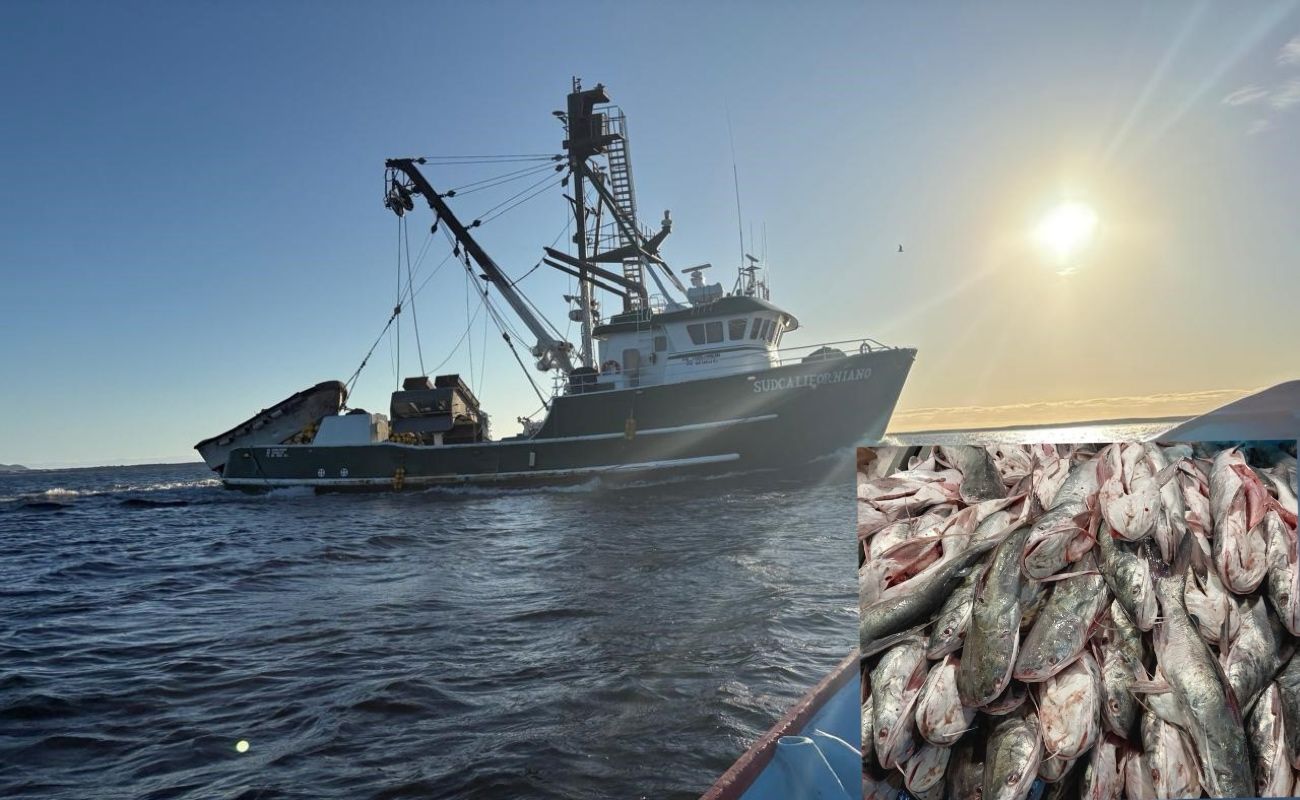 Los resultados son derivados de las acciones de inspección y vigilancia realizadas en coordinación con MARINA.