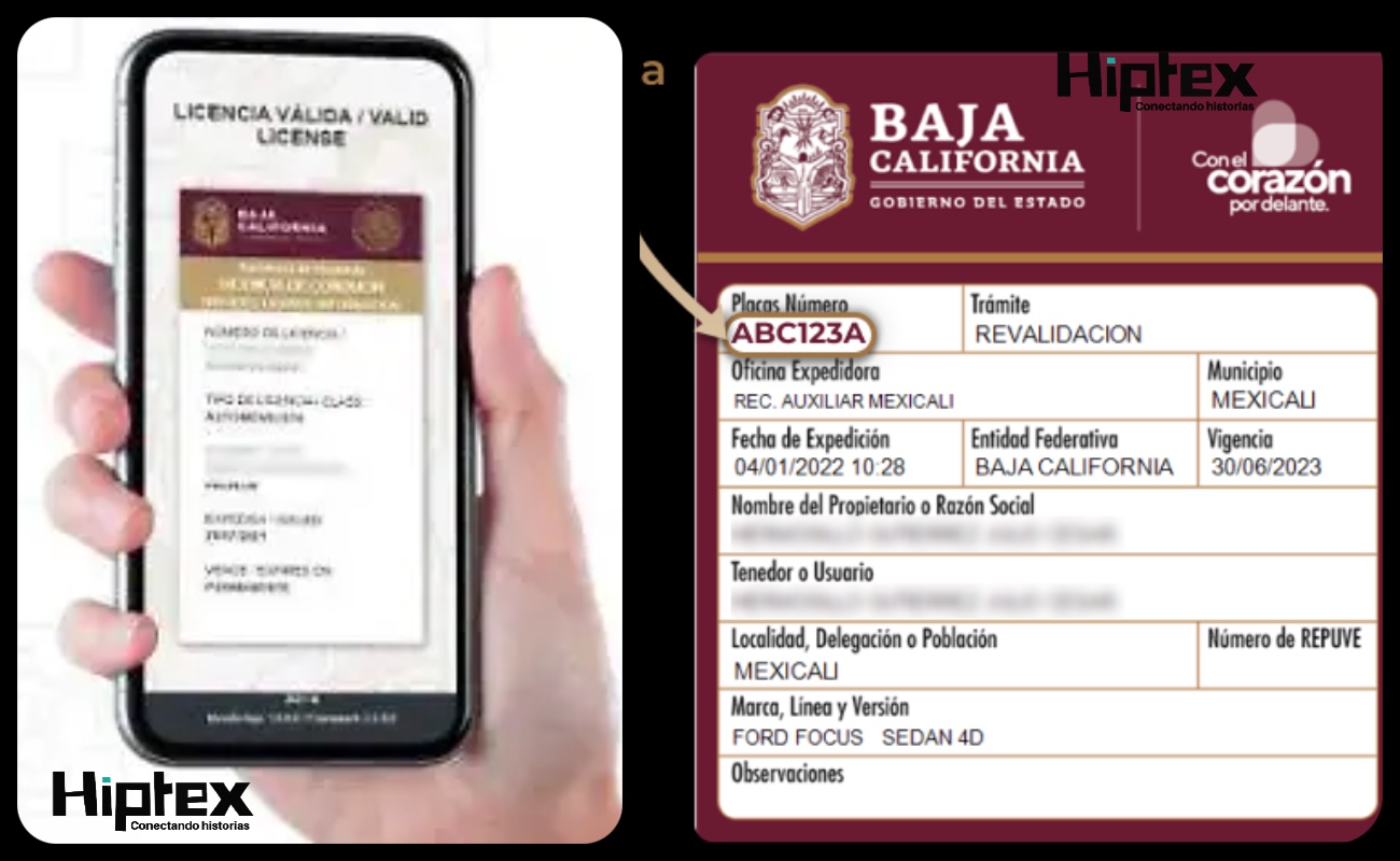 Piden a Ayuntamientos de BC reconocer la licencia y tarjeta de circulación digital