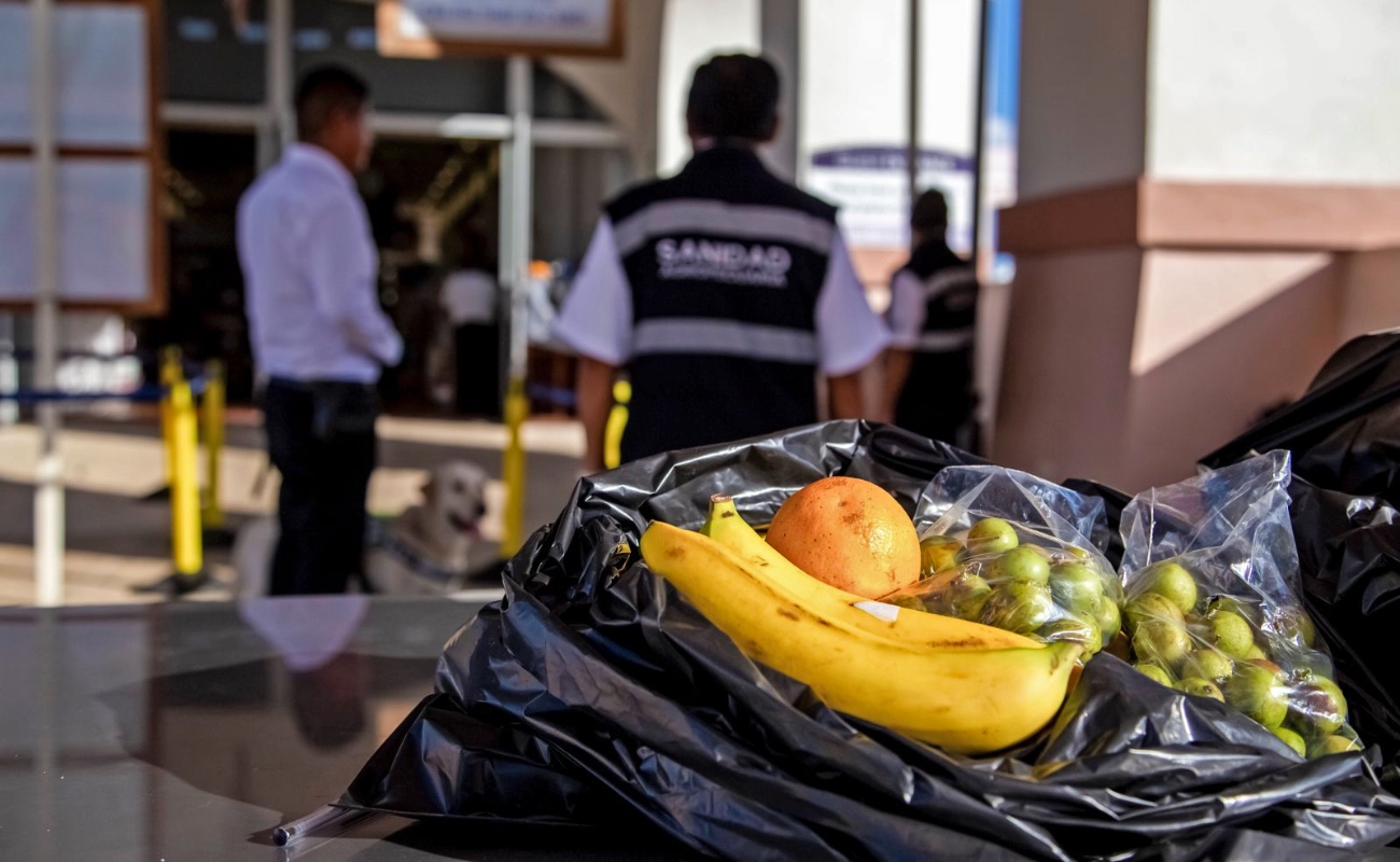 Red de inspección de Senasica impide entrada de 743 productos portadores de plagas a México