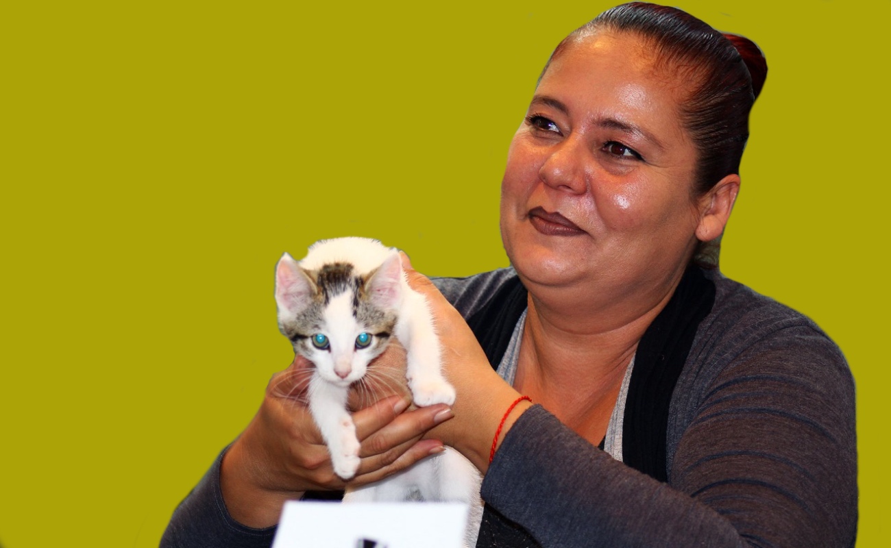 El Baja Cat Fest busca promover opciones para el cuidado de sus mascotas.