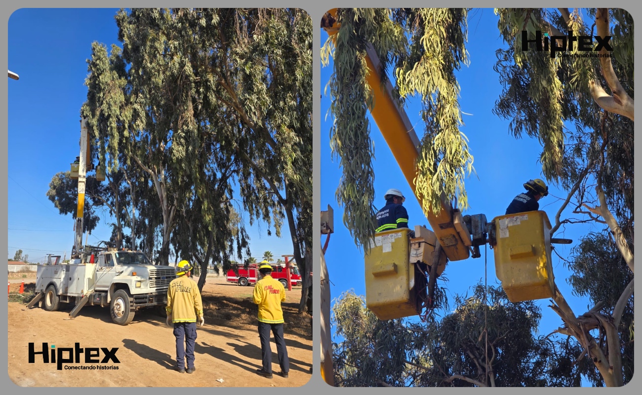 Atiende Gobierno Municipal de SQ problemática de áreas verdes en el ejido Raúl Sánchez Díaz
