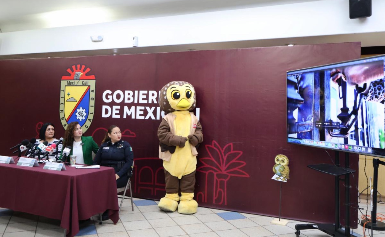 La campaña invernal 'Ambientalízate' cumple ya más de once años de trayectoria.