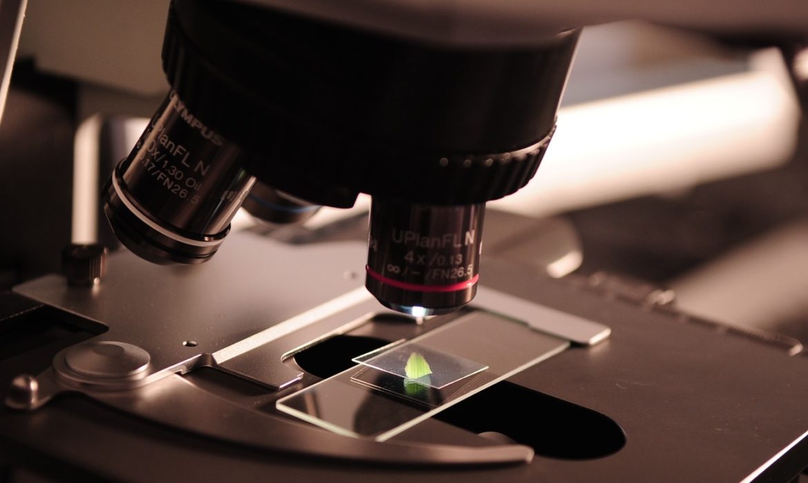 Corrupción y malinchismo…los enemigos de la ciencia en México