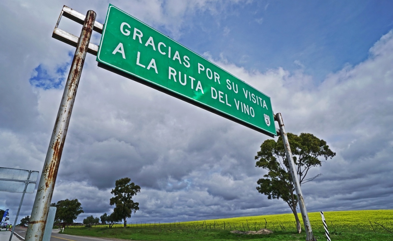 Secretaría de Turismo integra directorio turístico del Valle de Guadalupe para fortalecer y proyectar su diversidad de experiencias