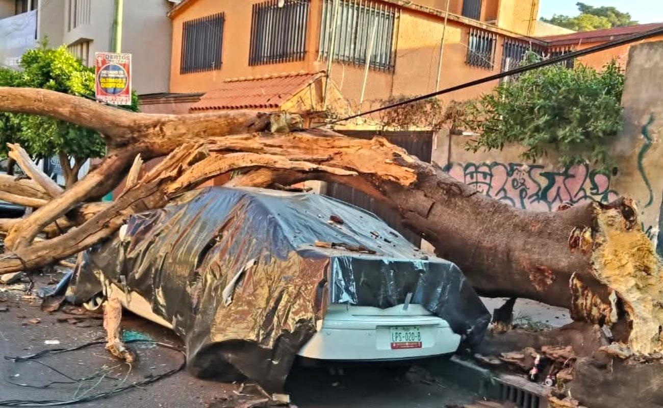En la alcaldía Benito Juárez un hombre murió al tropezar en una escalera.
