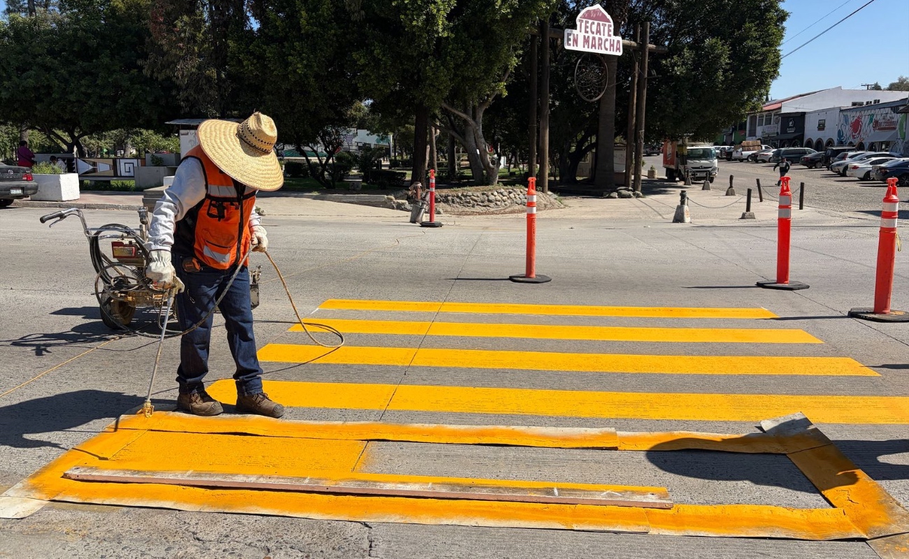 Mejoran la seguridad vial y brindar mayor protección a peatones.