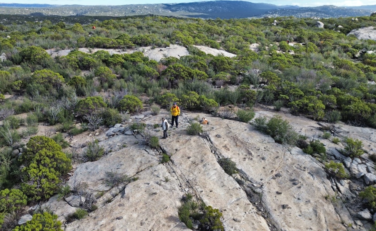 Desaparece pastor de chivas en Sierra de Juárez