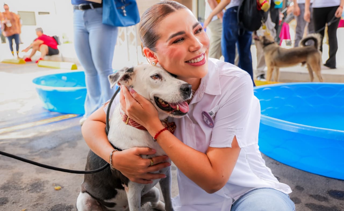 Baja California reconoce a los animales como sujetos de especial protección jurídica en su Constitución.