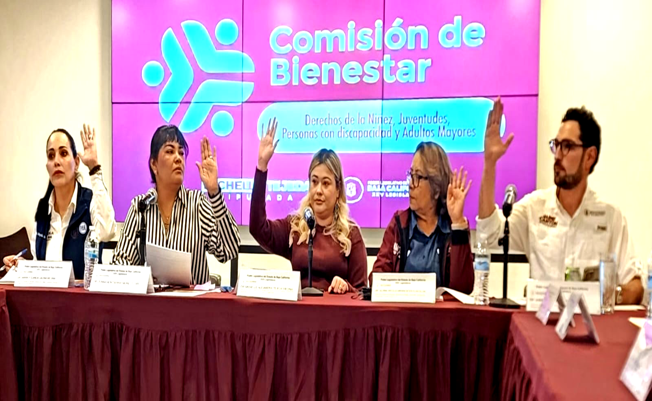 Avanzan en Comisión de Bienestar dictámenes que consolidan protección infantil y justicia social