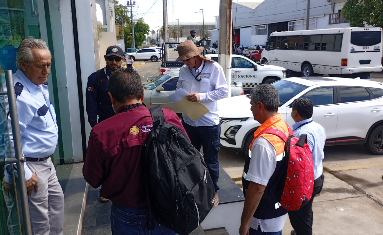 Las acciones buscan frenar el ingreso irregular de producto proveniente de economías de no mercado y proteger a productores nacionales.