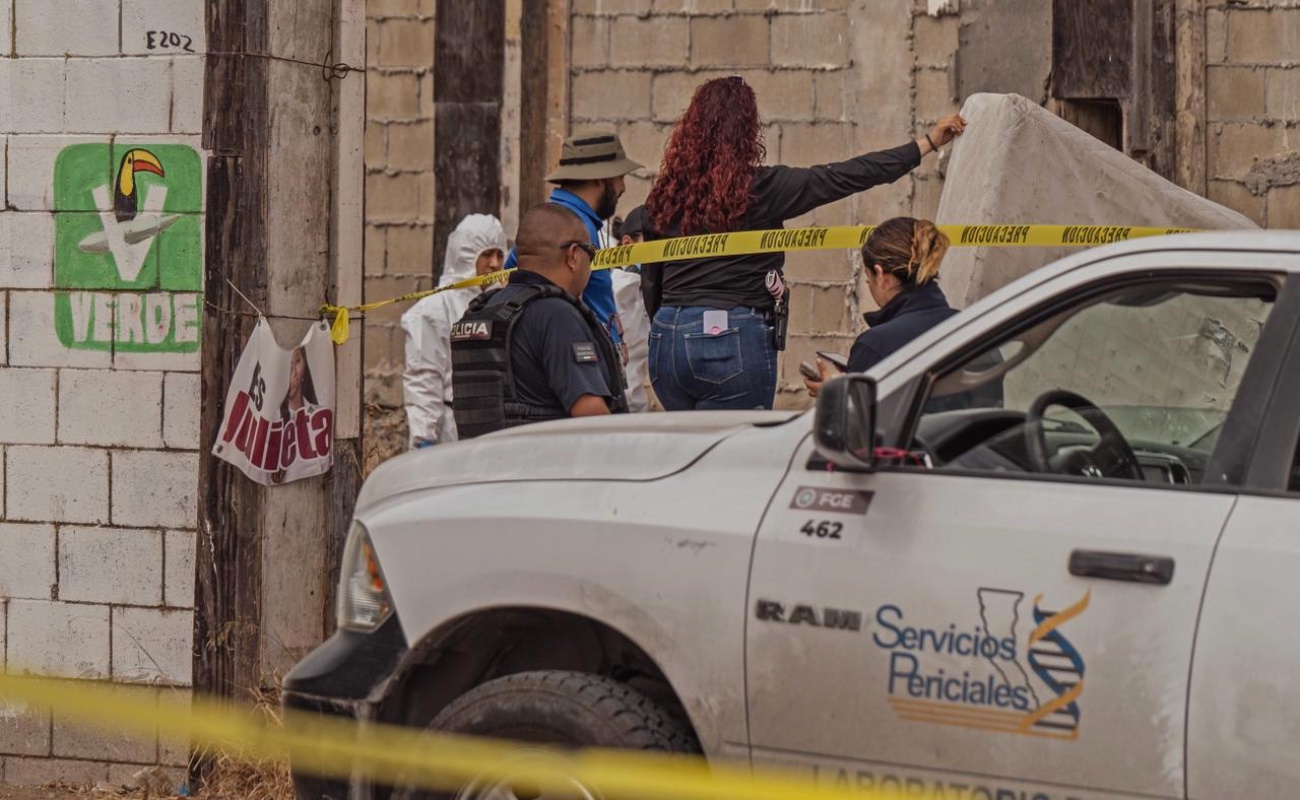 Hallaron dos cuerpos con huellas de violencia en un lote baldío de la colonia Alemán.