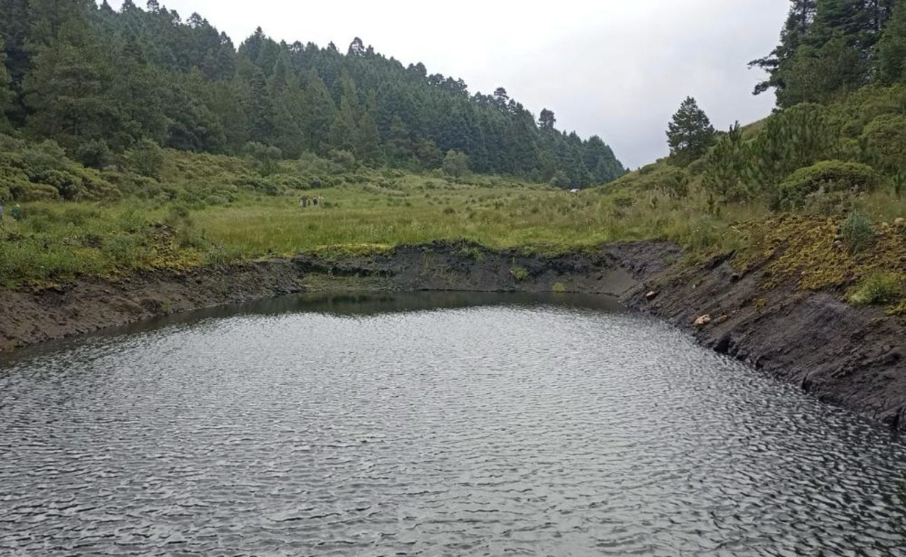 Expertos afirman que la infraestructura verde es una alternativa estratégica para el tratamiento y reúso del agua en comunidades rurales.