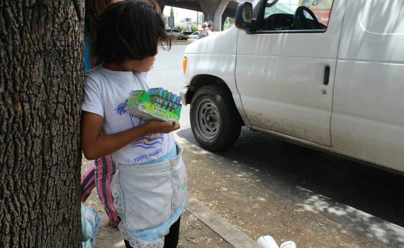 42% de los niños que trabajan no reciben ingresos por su trabajo y 19% recibe hasta dos salarios mínimos.
