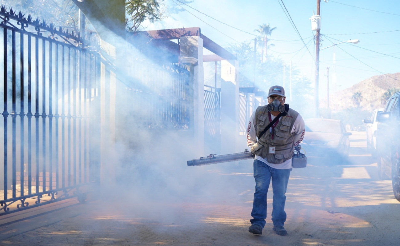 Baja California libre de dengue, Zika y Chikungunya