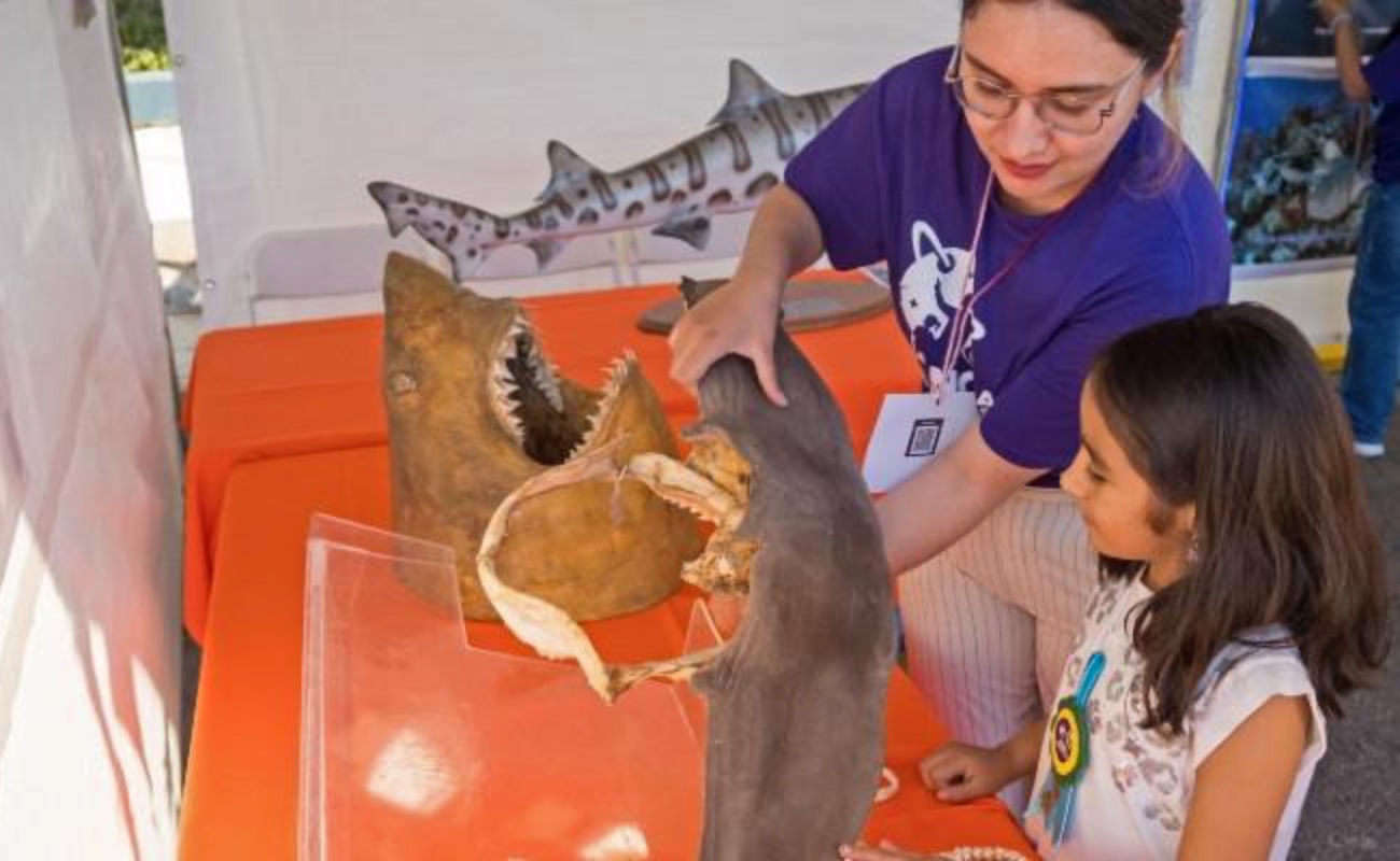 Ensenada celebrará 10 años de La Noche de las Ciencias con más de 90 actividades