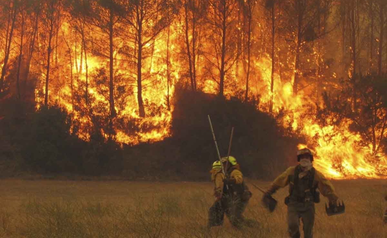 Europa enfrenta una nueva ola de incendios forestales impulsada por temperaturas extremas
