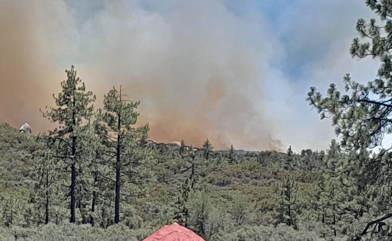 Bomberos de Ensenada combaten un incendio forestal en la Sierra de Juárez, afectando 40 hectáreas de pinos.