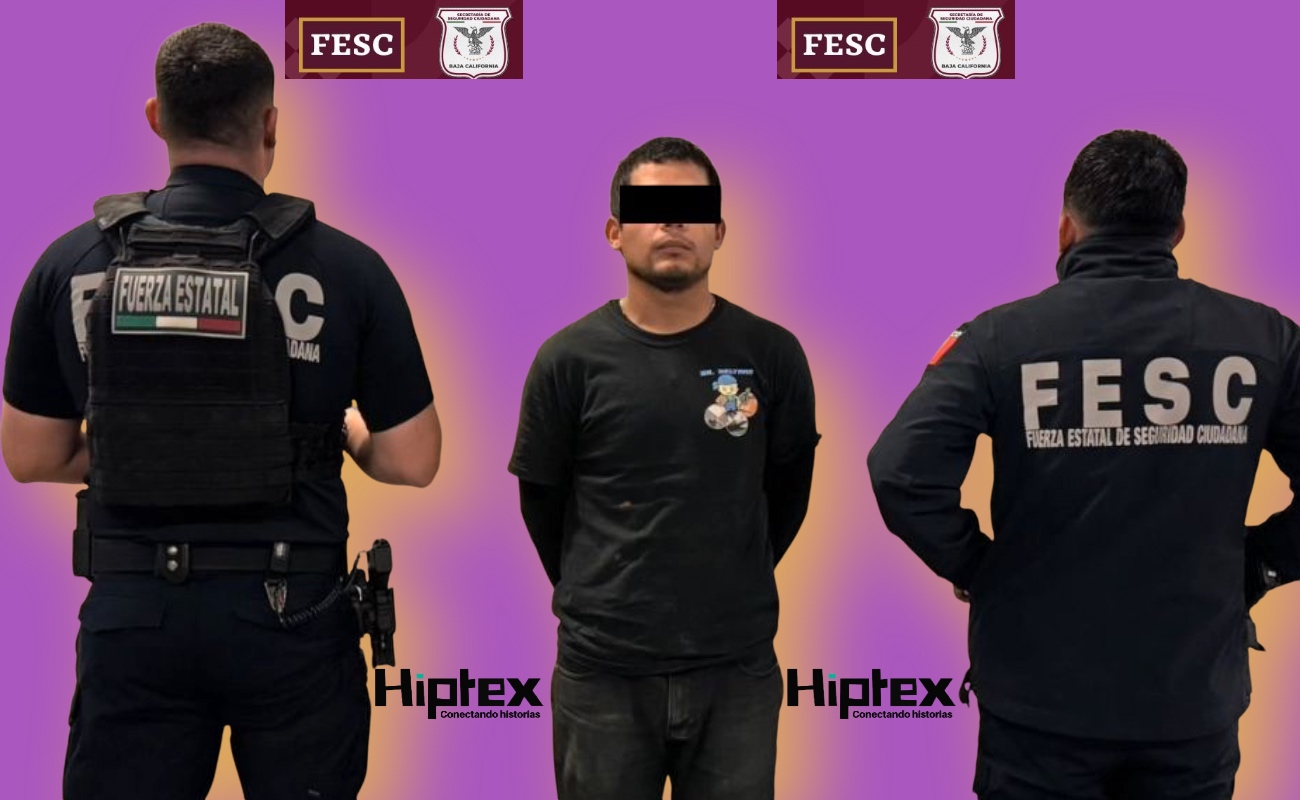 Sergio “N”, de 29 años de edad, el detenido.