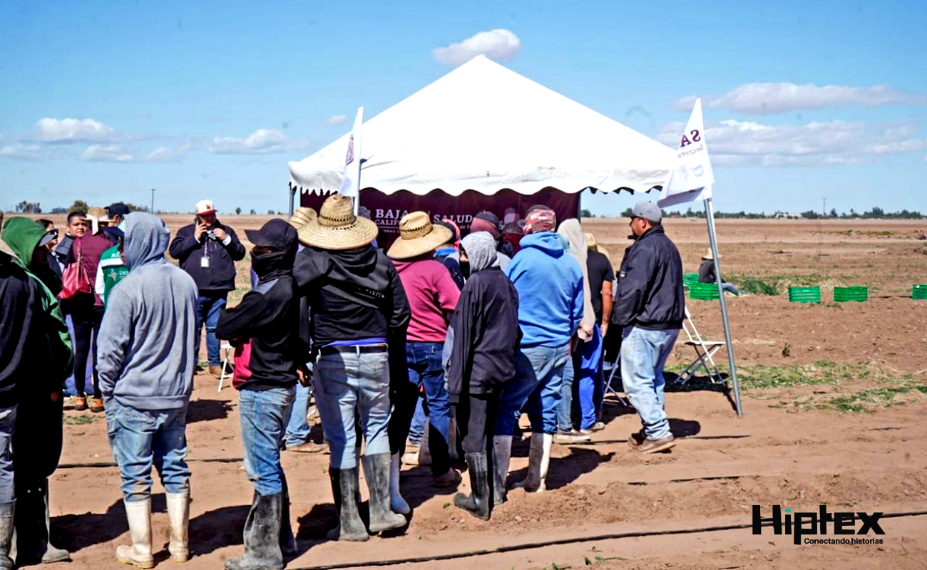 Intensifican vacunación contra el sarampión en campos agrícolas de Baja California