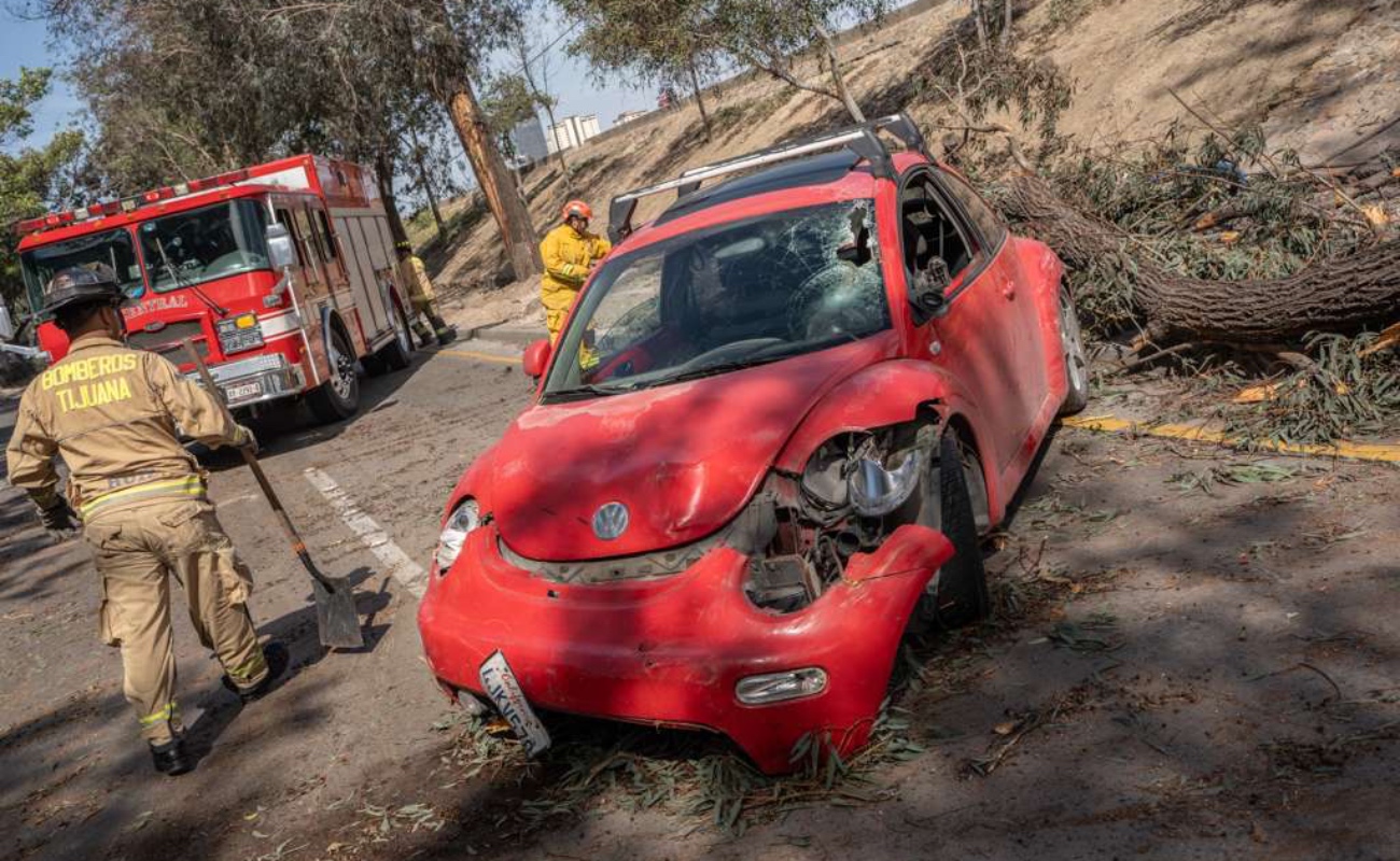 “Dios es grande”, expresó José Alejandro, luego de salir ileso tras caída de árbol sobre su auto.