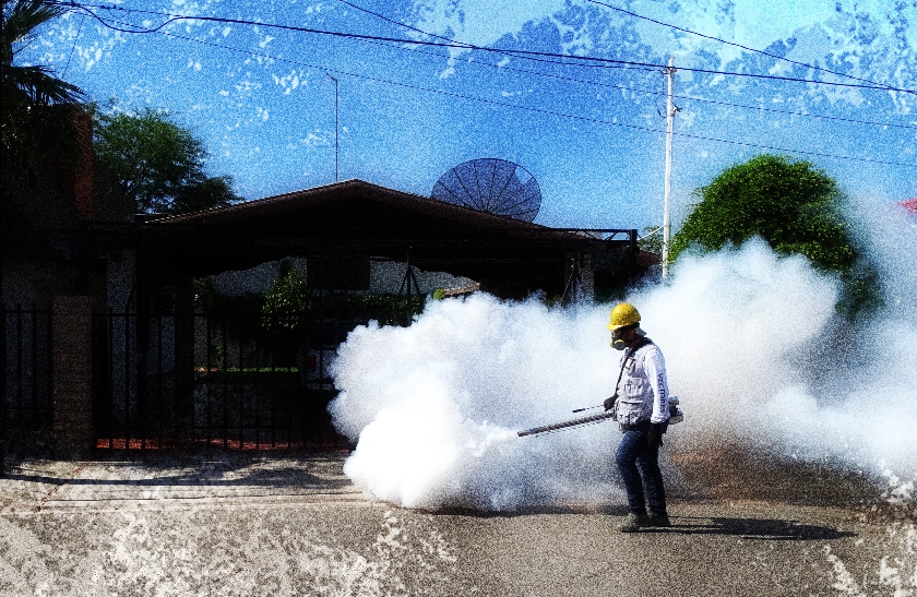 El dengue es una enfermedad viral, siendo sus síntomas fiebre de aparición súbita que dura de 3 a 7 días, dolor de cabeza, articulaciones y músculos.