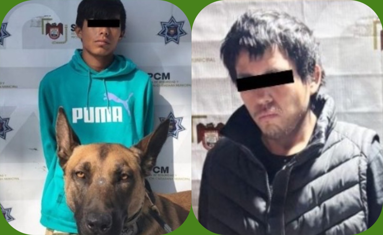 Con apoyo de agentes caninos detienen a par de presuntos narcomenudistas
