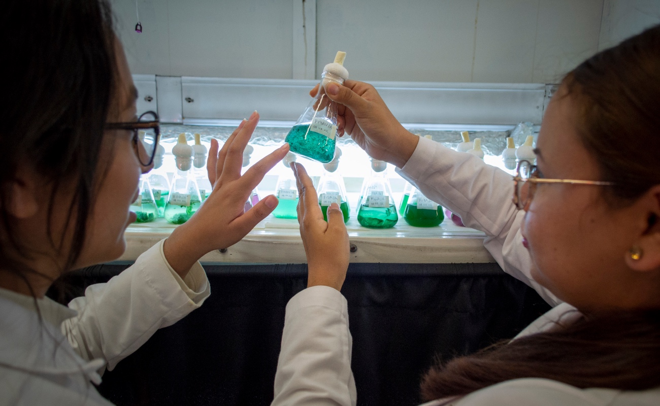 Abre CICESE convocatoria para maestrías y doctorados