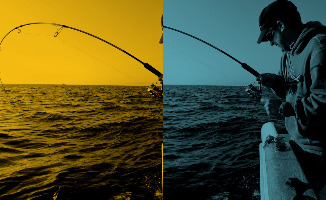 La principal actividad del proyecto consiste en la realización de expediciones ecoturísticas para la pesca deportiva-recreativa, dentro de la Reserva de la Biosfera Isla Guadalupe.