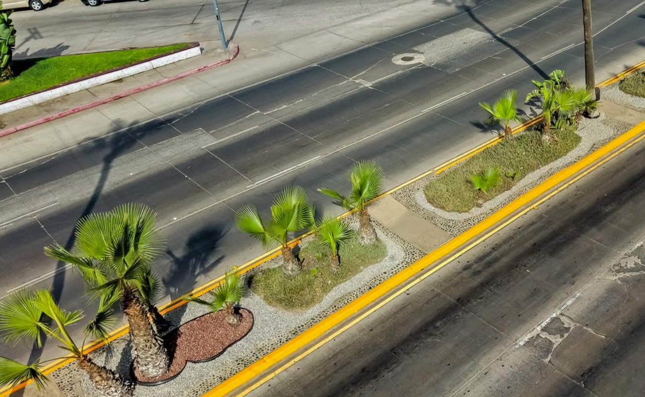 Destaca alcaldesa Claudia Agatón apoyo de Femsa y Oxxo para rehabilitar camellones en avenida Reforma