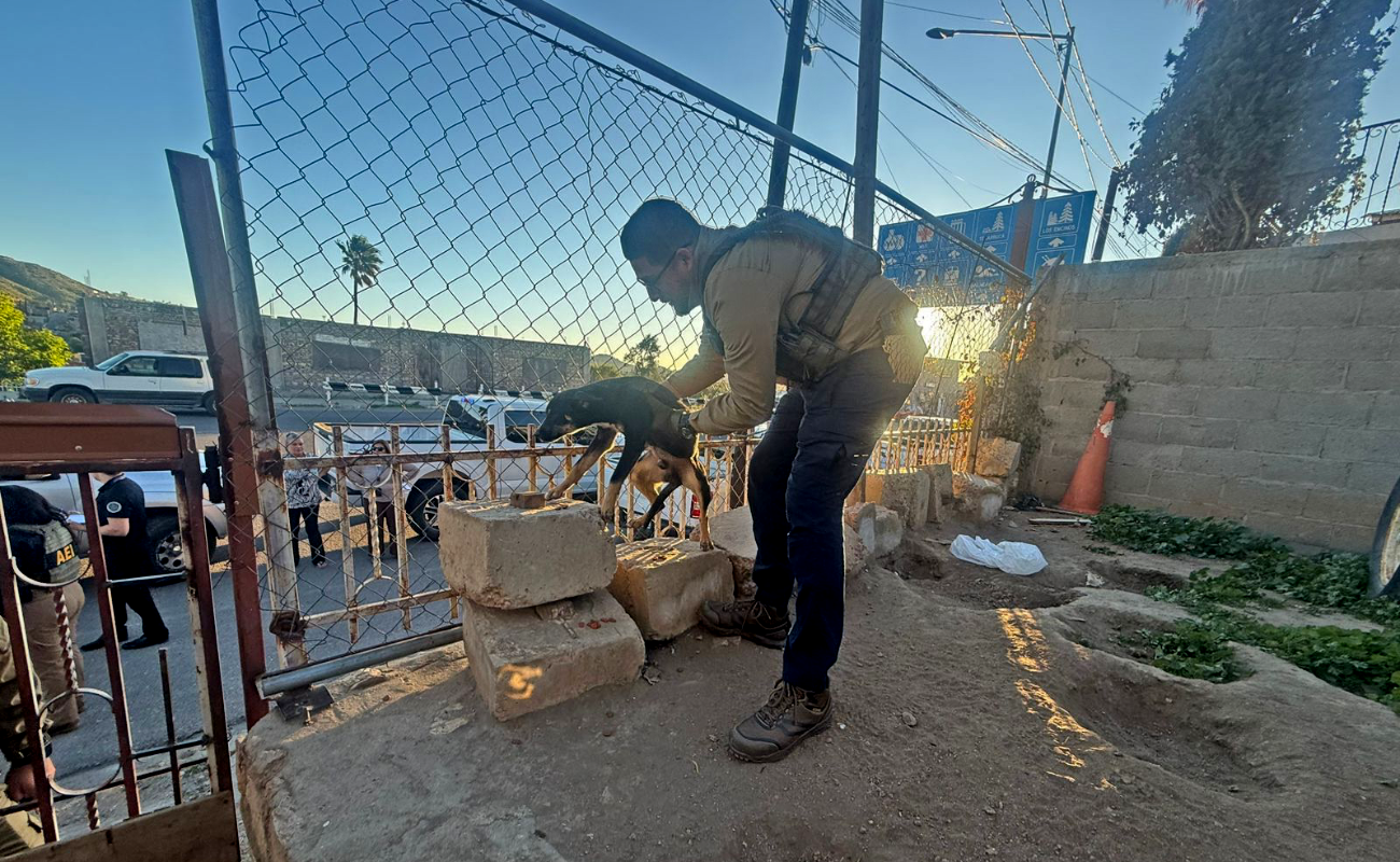 Rescatan a tres perros abandonados en predio
