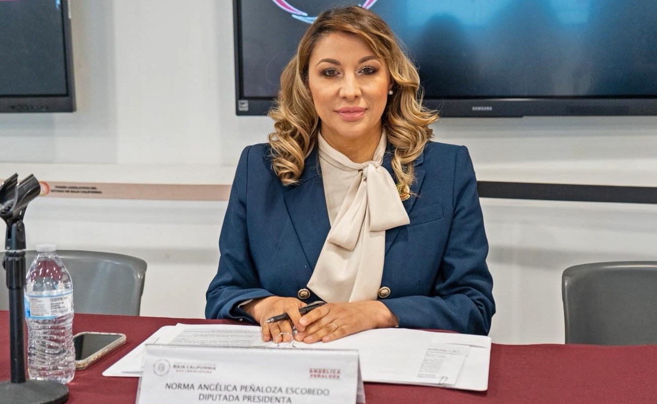 Aprueban reformas a los códigos penal y civil en sesión de comisión y justicia