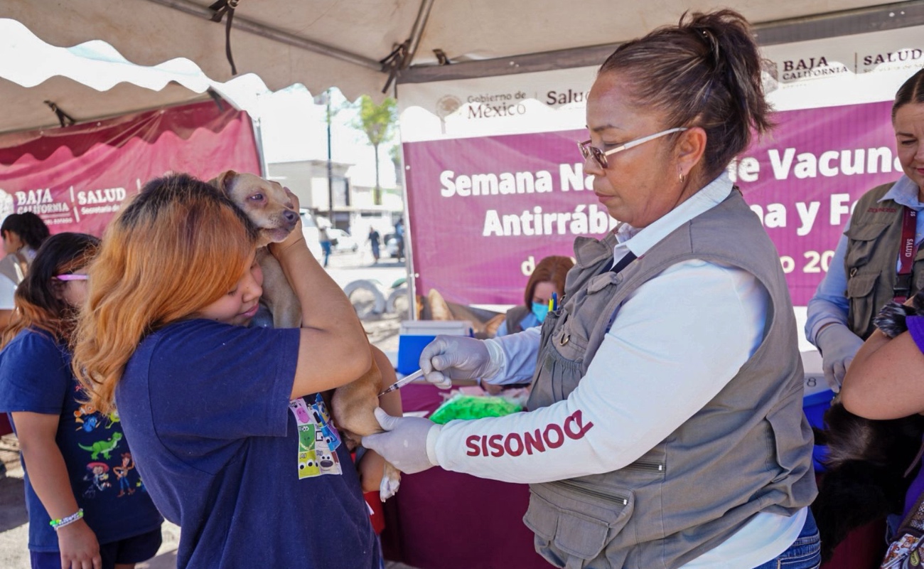 Realizan Mega Jornada de Esterilización Canina y Felina en El Cóndor.