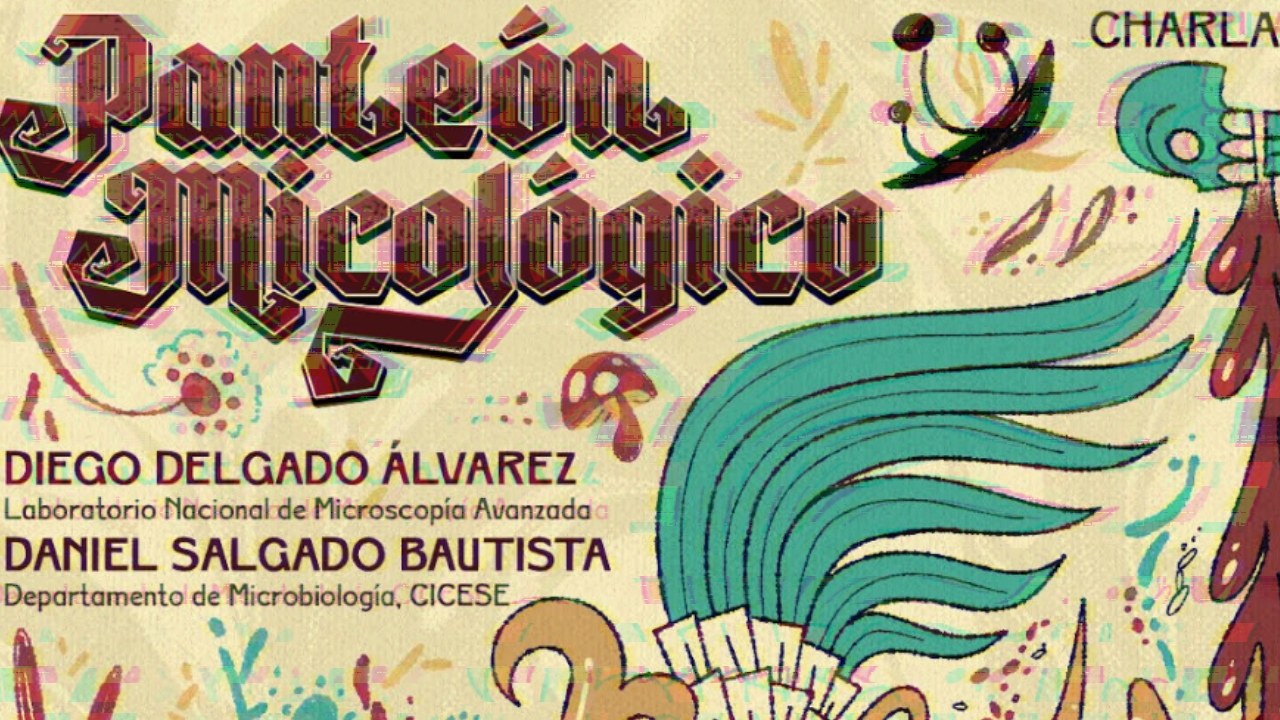 Invita CICESE a charla “Panteón Micológico”