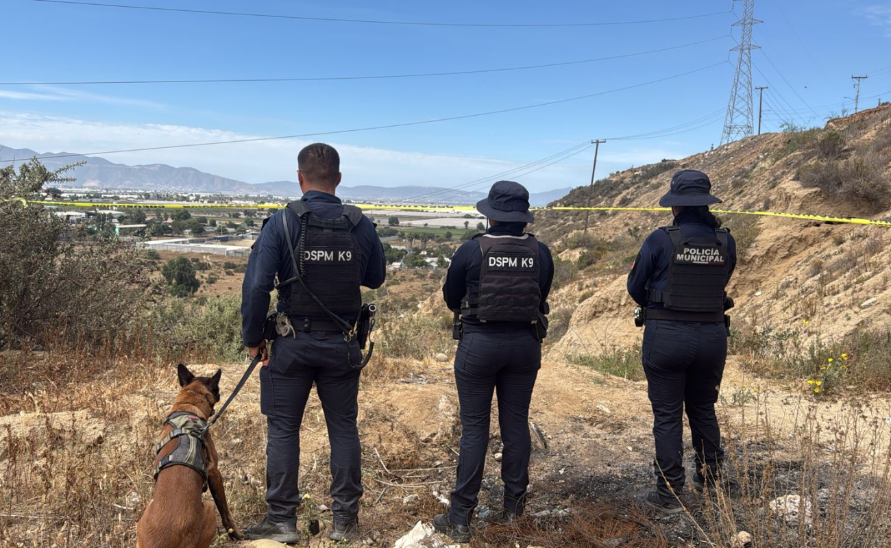 Localiza la Unidad K-9 cuerpo de un hombre en el poblado de San Carlos