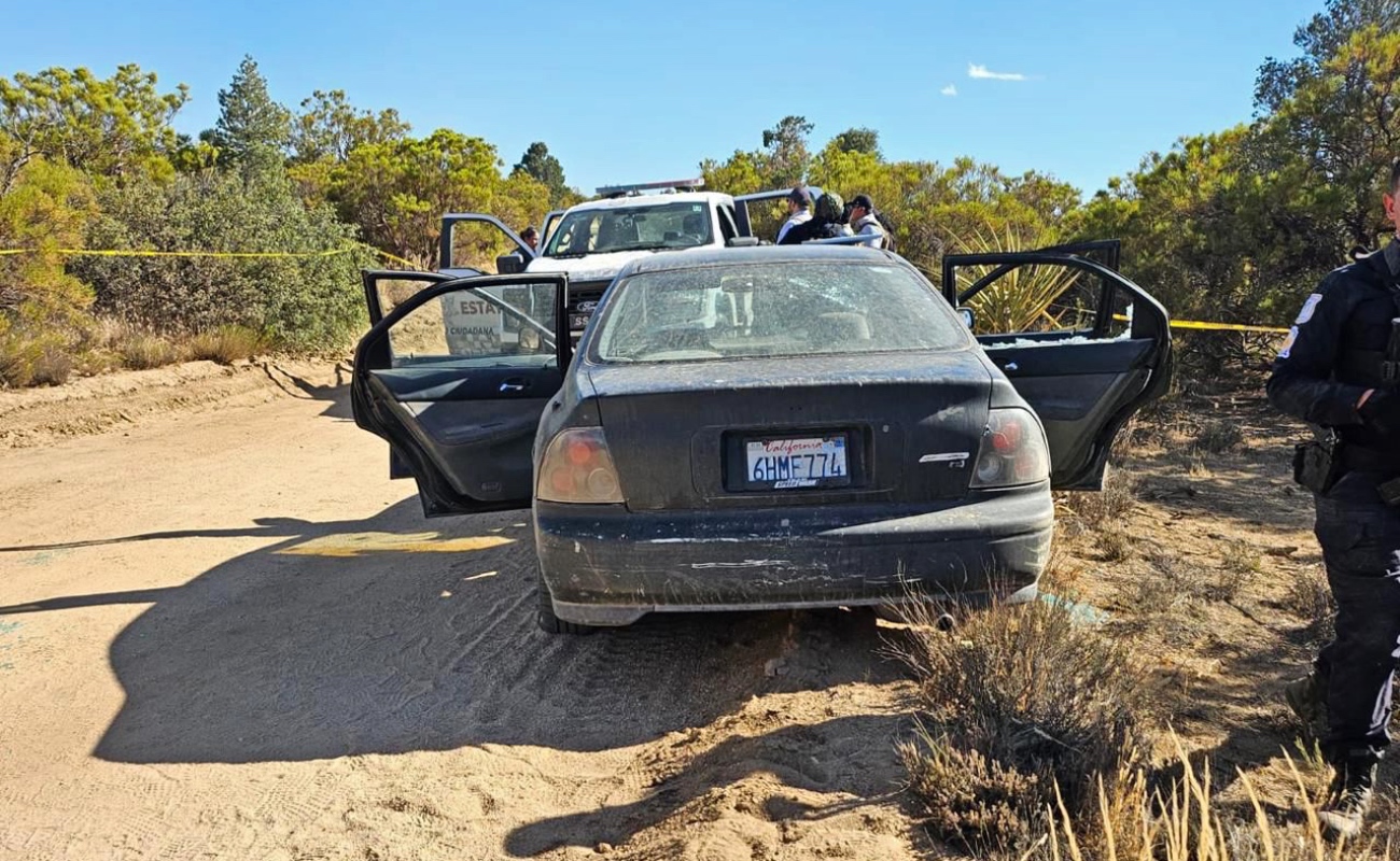 Aseguran armas y equipo táctico tras enfrentamiento en la zona de Laguna Hanson