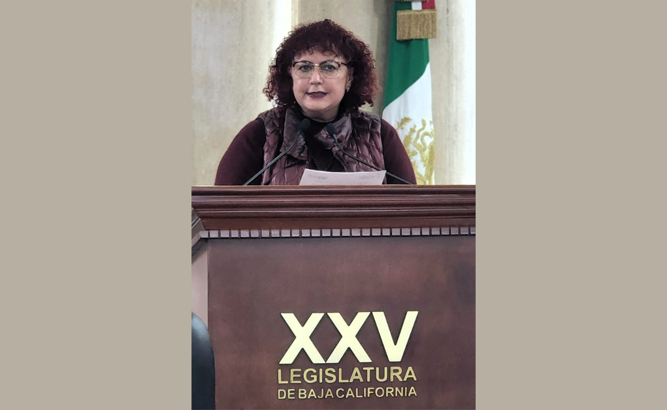 La proposición de la legisladora Maythé Méndez, busca proteger la salud de la ciudadanía y el bienestar de los animales.