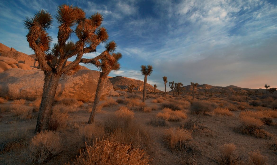 Rescatan a dos parejas de morir en el desierto