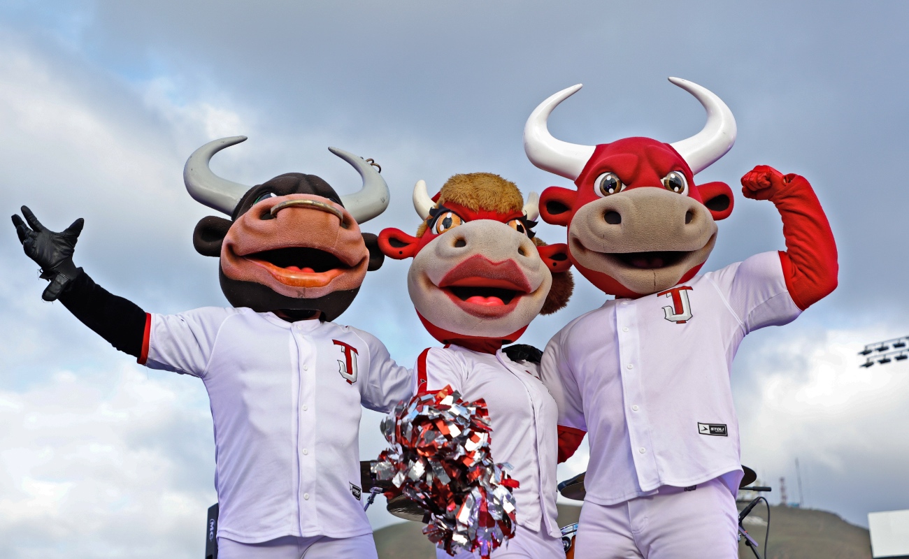 Regresan las emociones al Mobil Park, tienen Toros serie inaugural