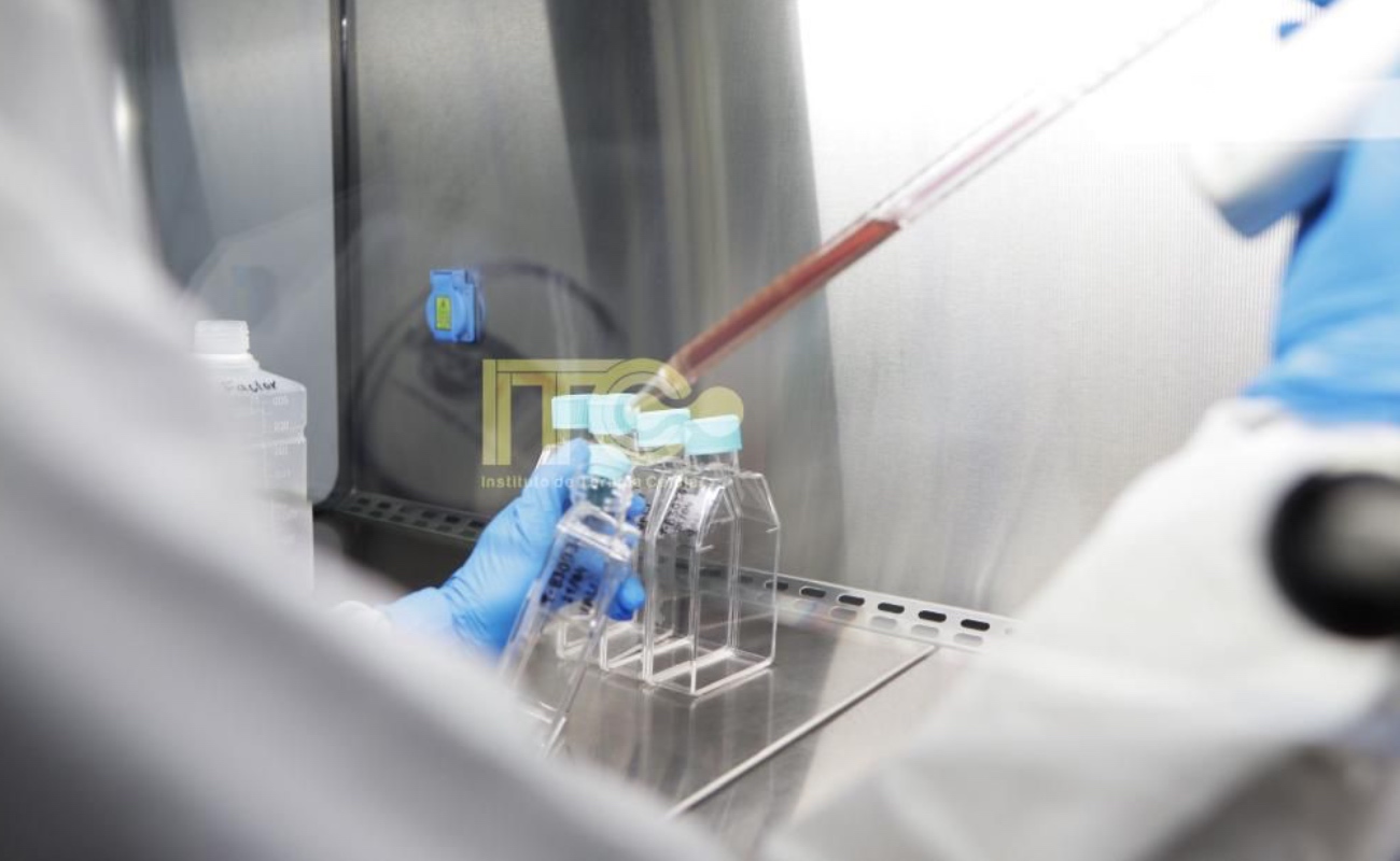 El uso de terapias con células madre ha cobrado popularidad por brindar mayor bienestar y calidad de vida a los pacientes.